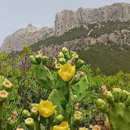 Casa Paguro, La Tua Casa In Sardegna *