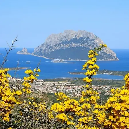 Casa Paguro, La Tua Casa In Sardegna